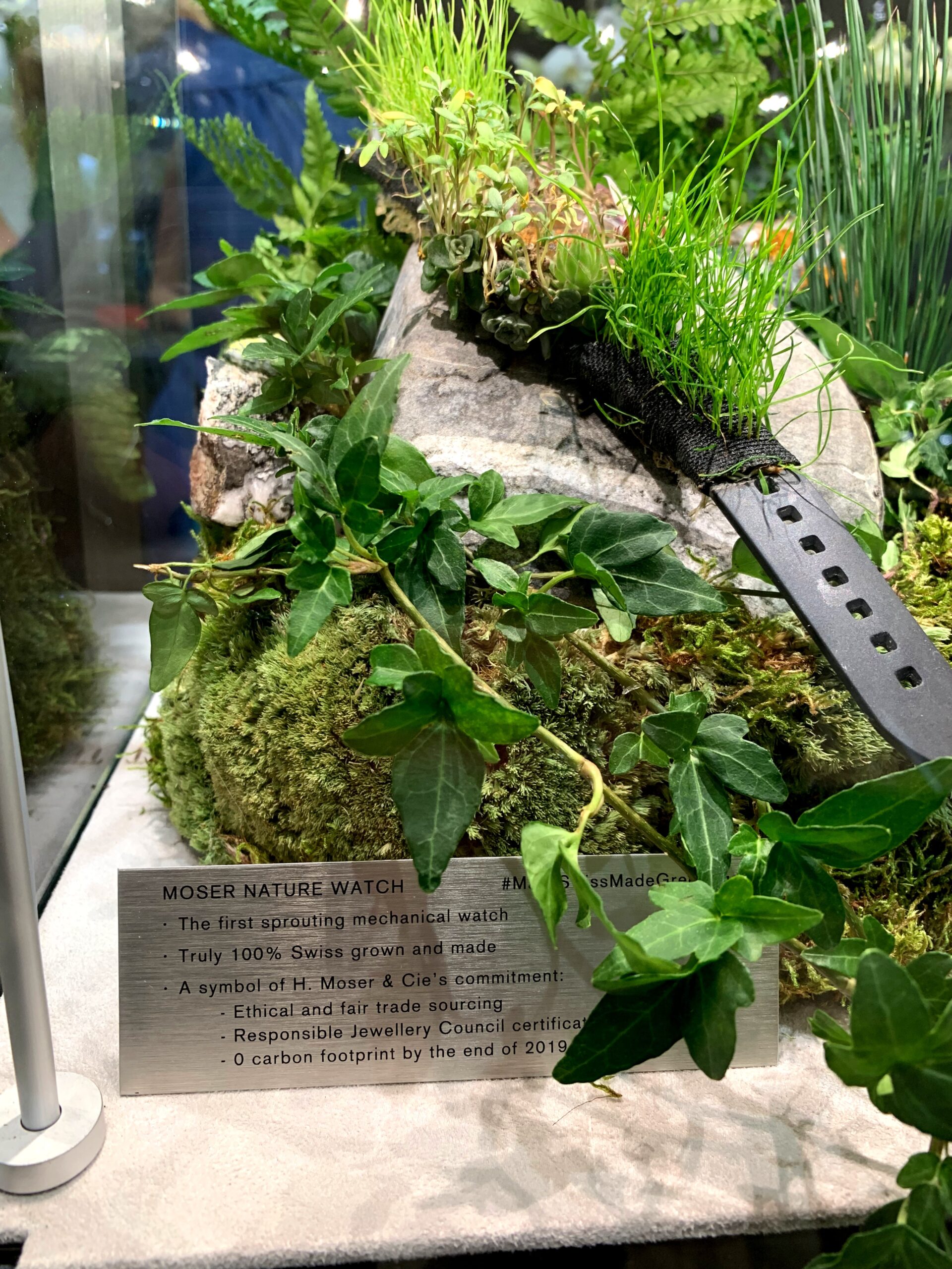 SIHH 2019 Moser Sprouting Watch