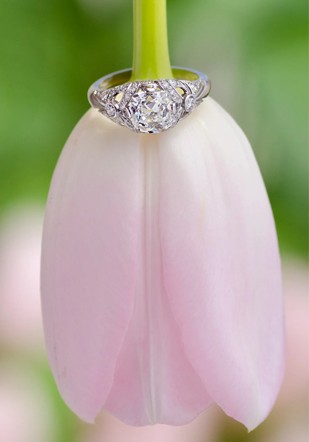 Sébastien Barier Platinum Cushion Cut Diamond Ring on an upside down soft pink tulip against a green background